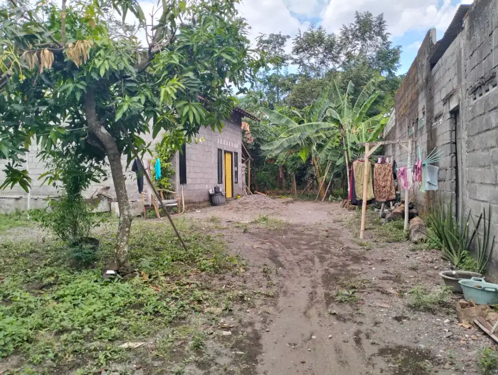 Dijual tanah shm pekarangan jarang ada belakang sd model Maguwoharjo