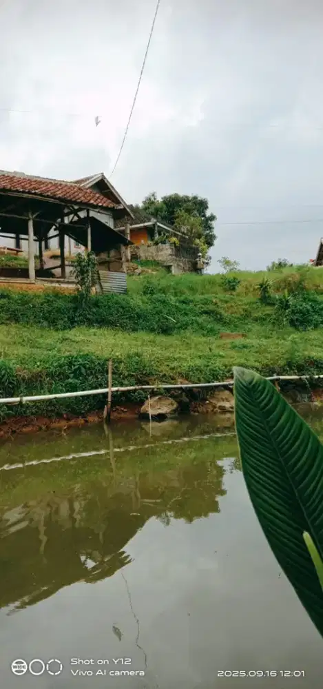 Jual tanah dan kolam ikan ciwidey