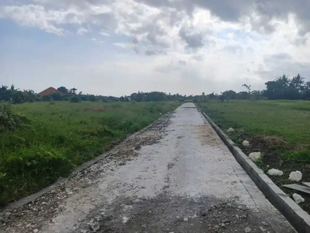 Jual tanah view sawah di Beraban dkt tanah lot dan pantai kedungu Bali