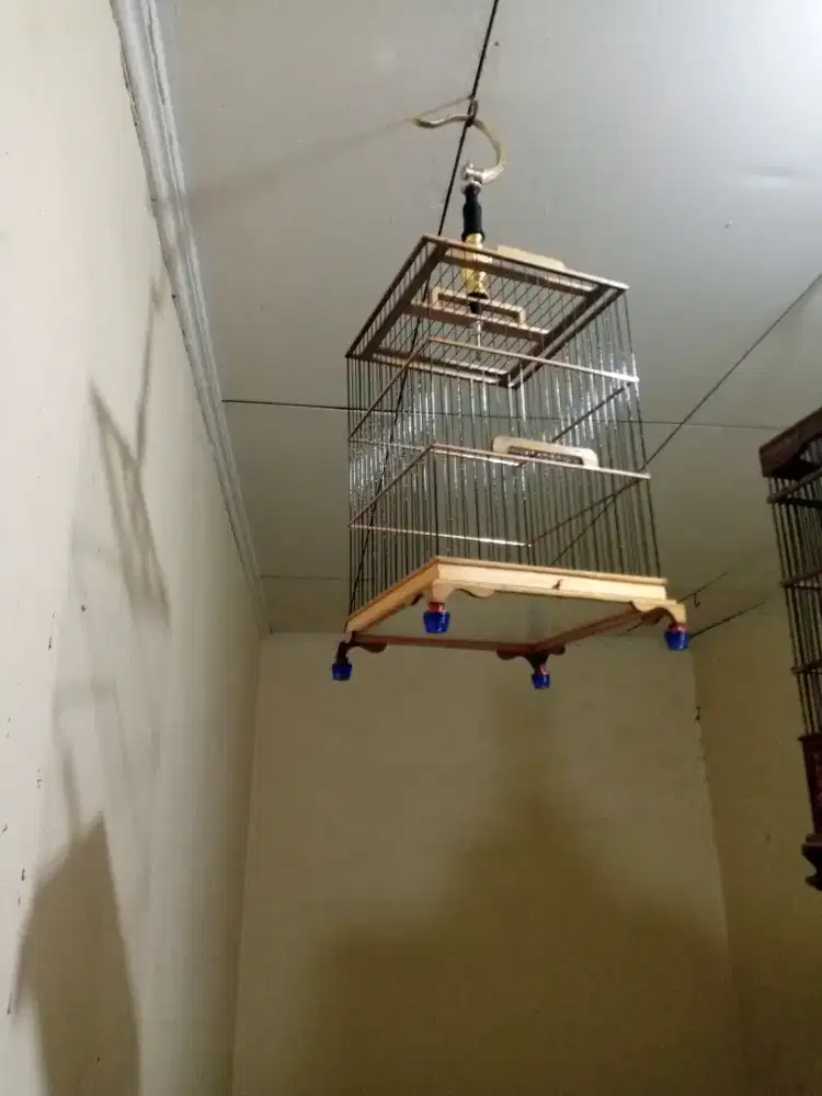 Sangkar burung kecil prenjak kolibri sogon ukuran 22x22 30
