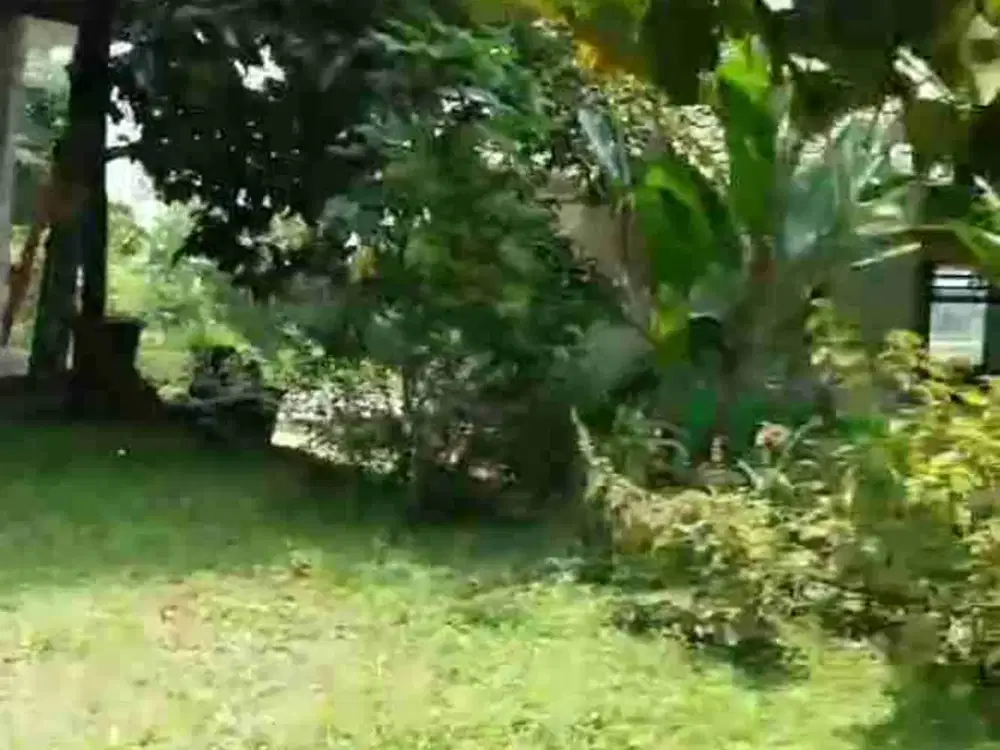 rumah villa