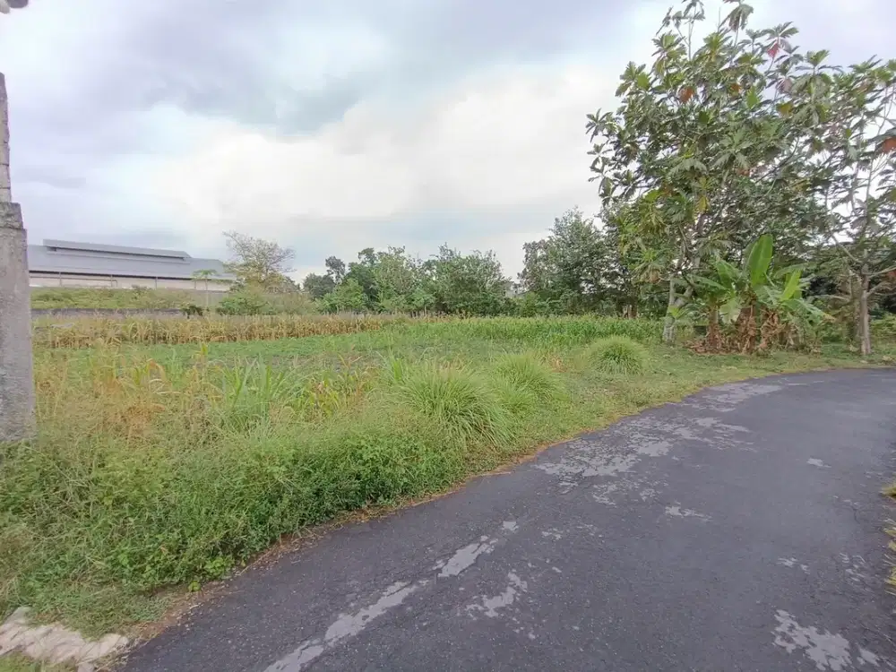 SISA 2! Tanah di Jl Palagan KM 10 Tepi Aspal