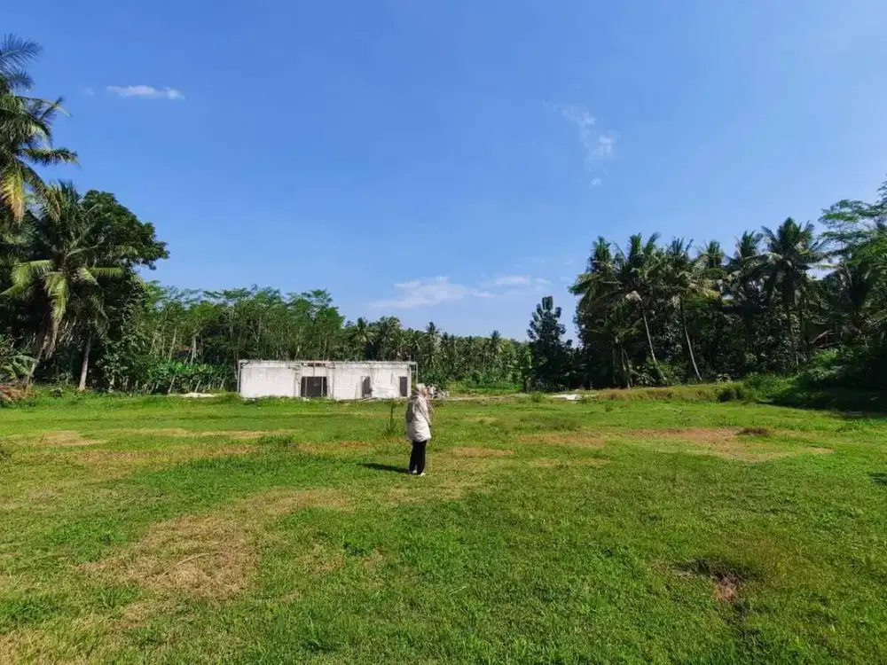 Jual Cepat! Tanah Jogja Dekat Wisata & Exit Tol Sentolo