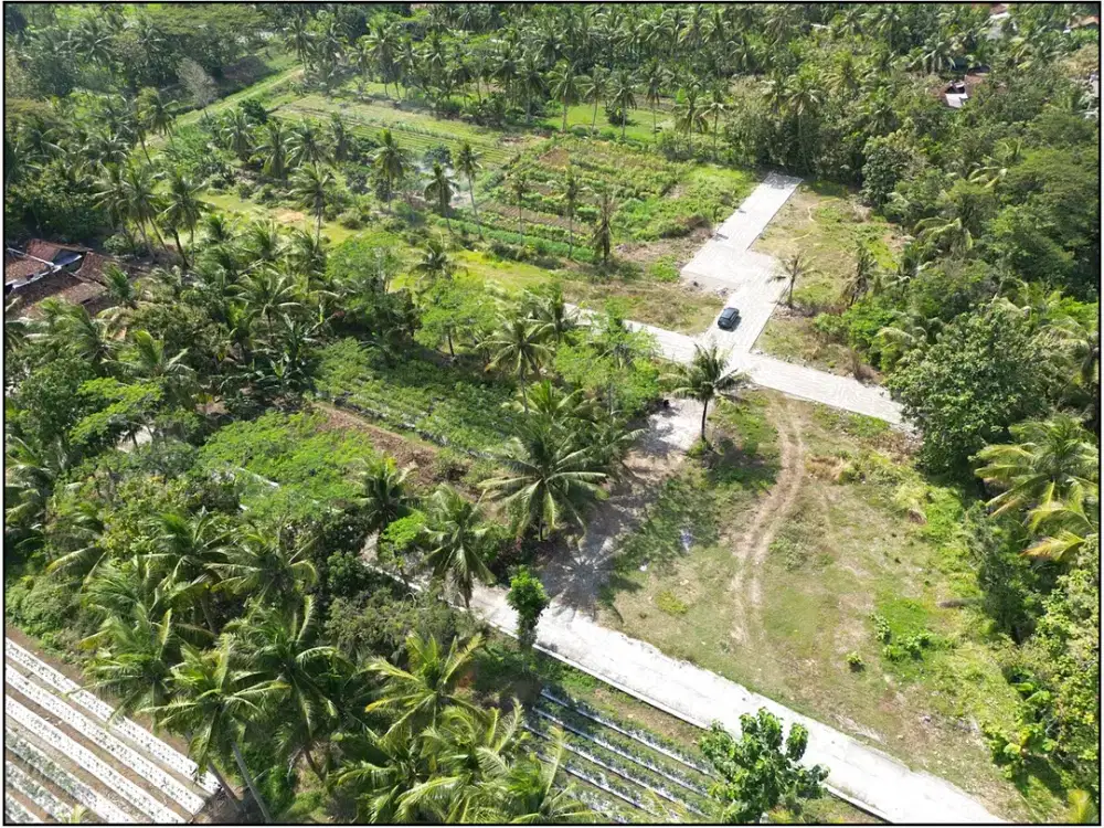 Tanah Murah Tawangsari Jogja Dekat Kampus UAD 4
