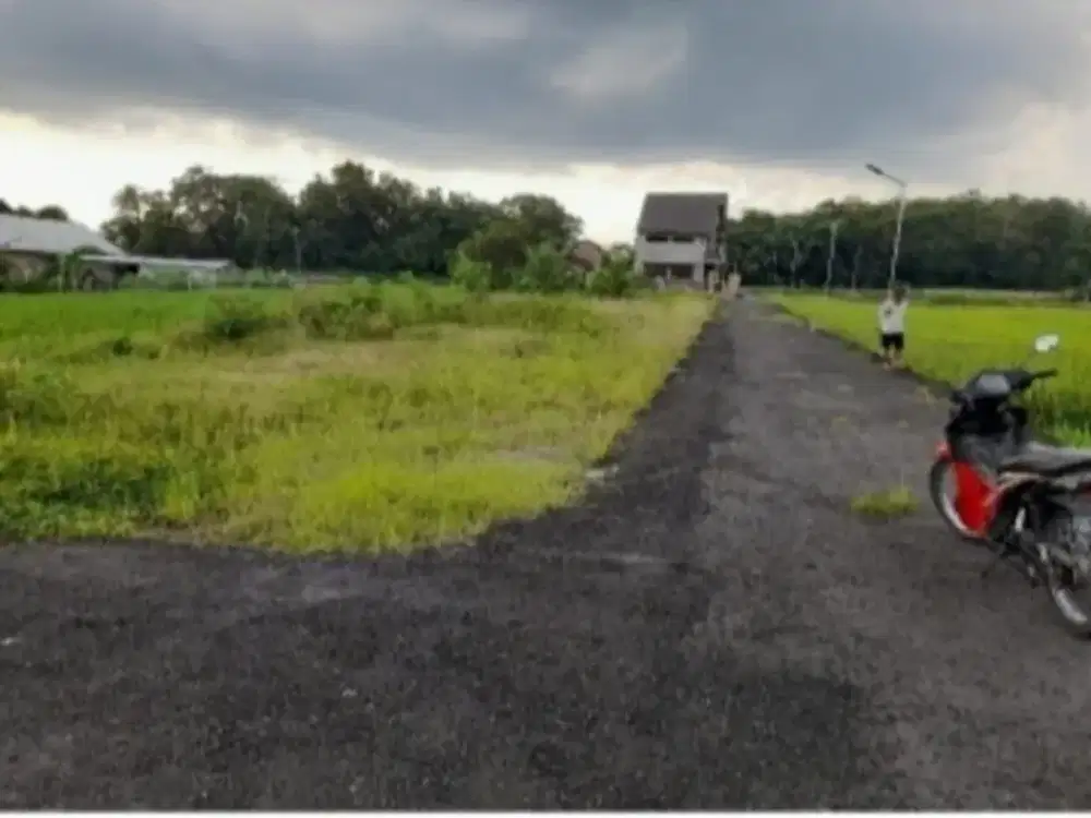 Dijual Kapling Termurah Di Berbah Sleman