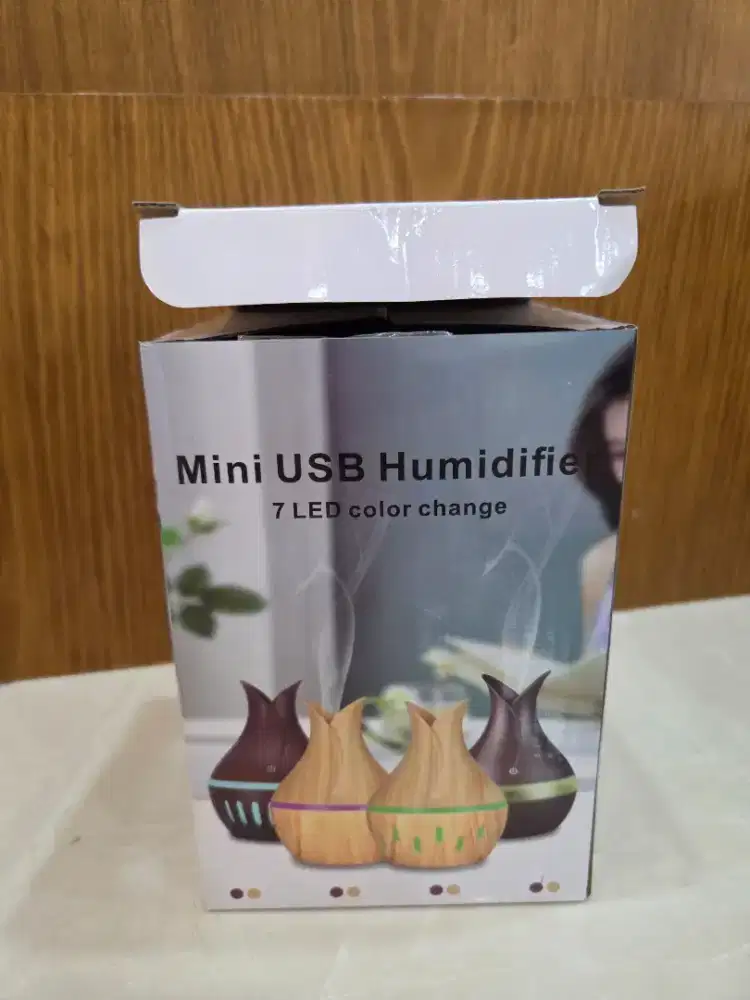 Mini USB Humidifie