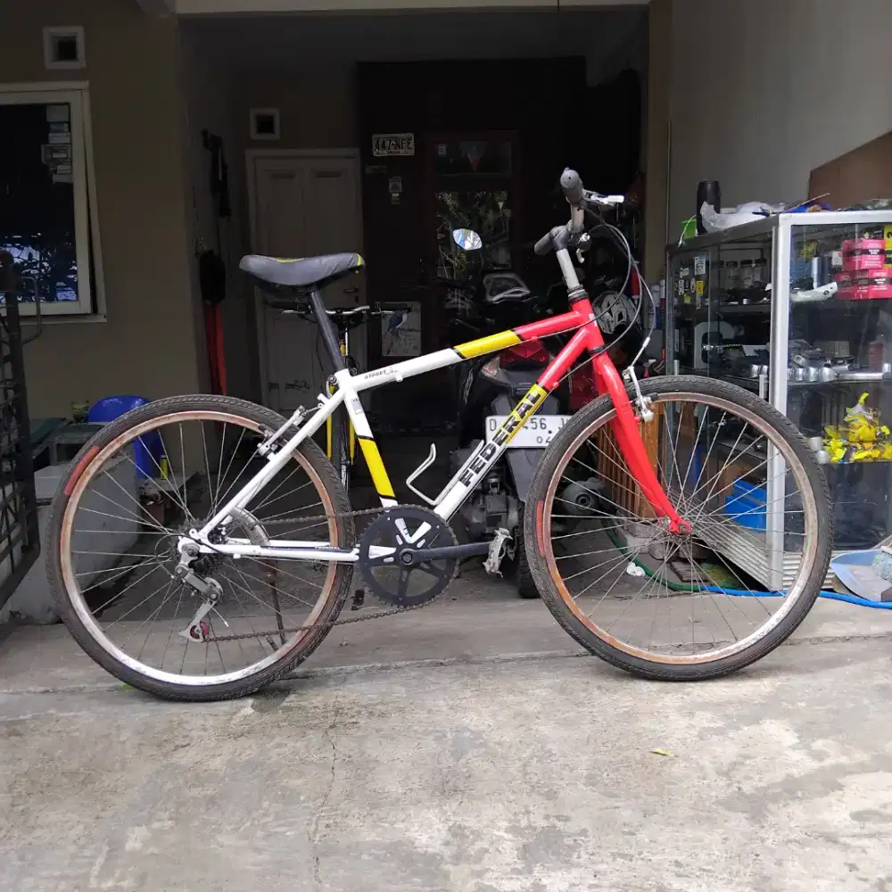 Sepeda Federal 24