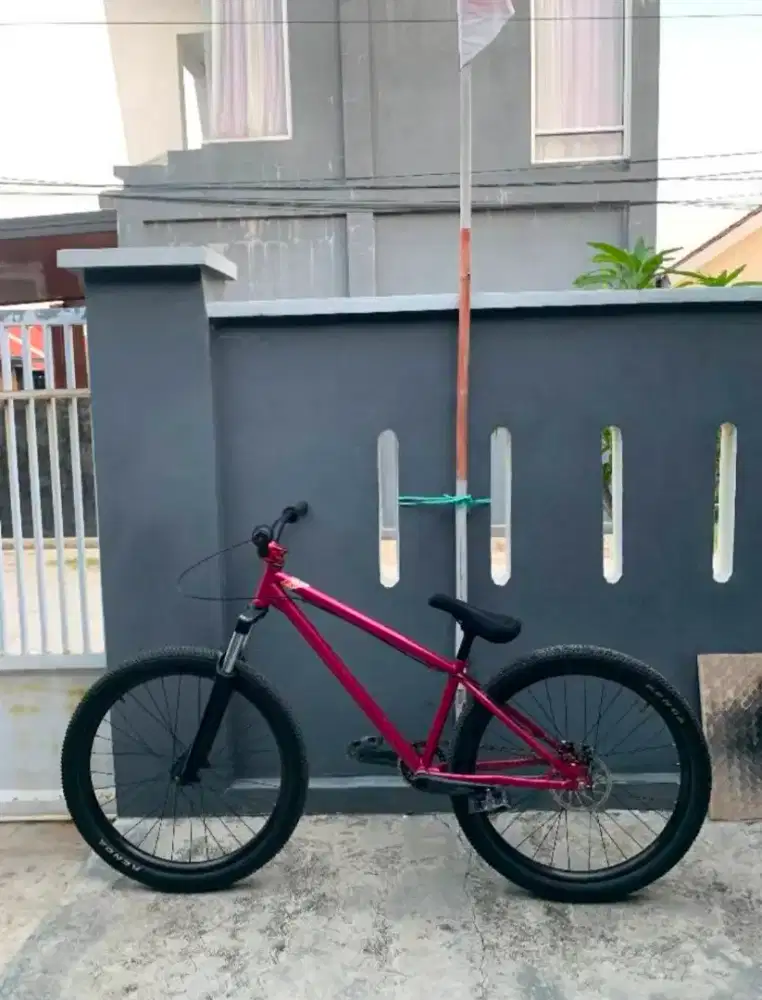 MTB DJ Mongoose Ritual Dirt