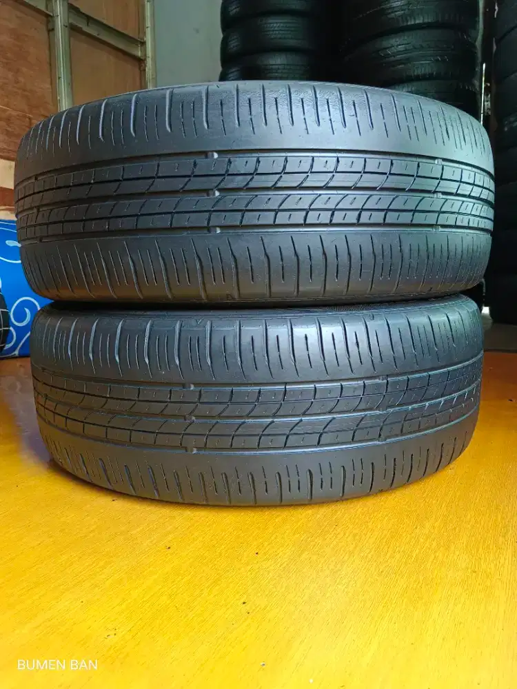 Ban 205 55 R17 Dunlop Enasave XPander