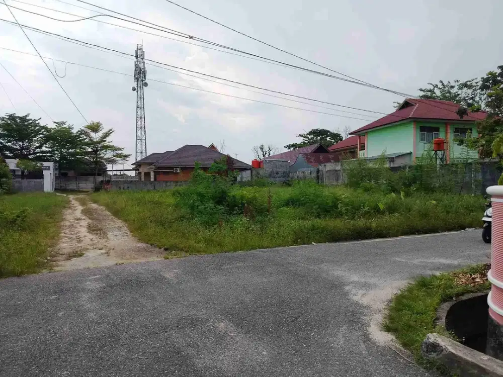 100 m dari Jalan Utama Purwodadi Panam, Tanah Dijual: SHM