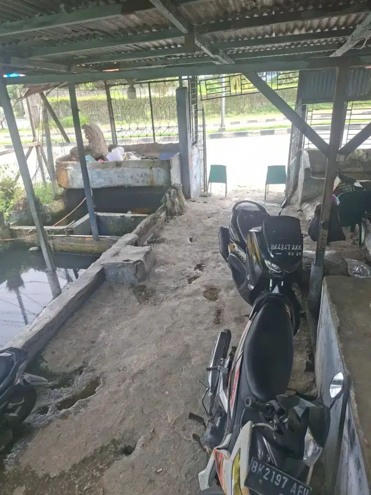 Loker jaga jualan bibit ikan