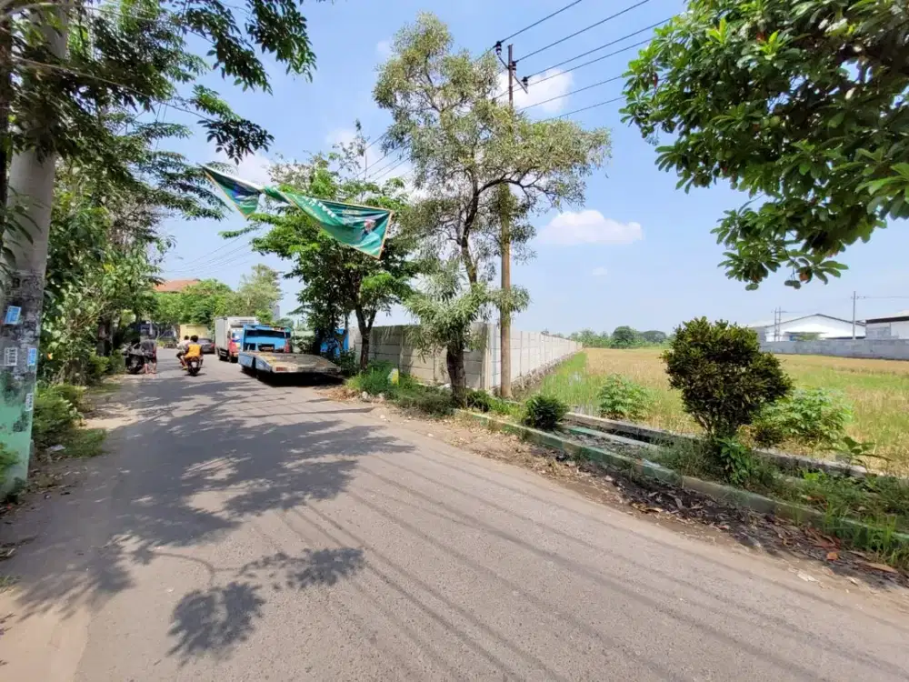 Termurah Tanah Komersial Cocok Industri dan Gudang Raya Buduran