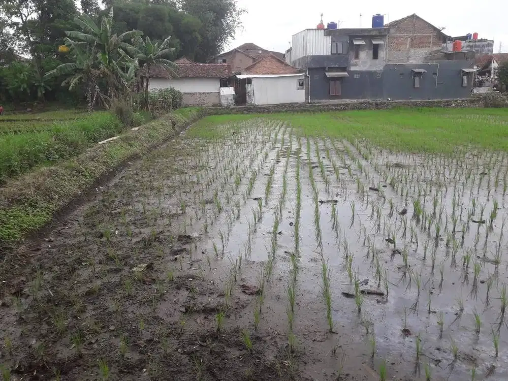 JUAL BU TANAH SAWAH HAK MILIK 915 m²– KELURAHAN SOREANG, BANDUNG