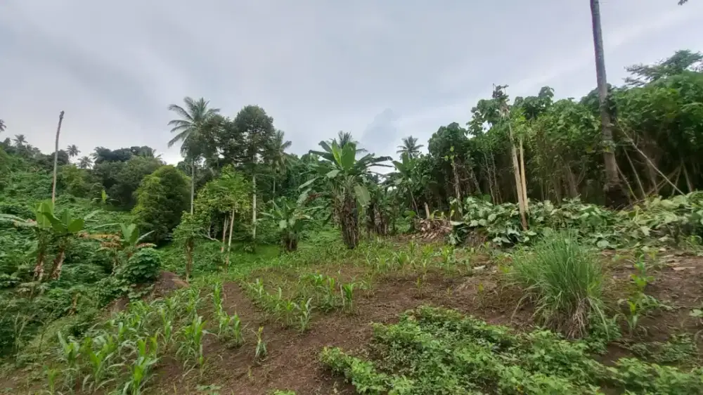 Dijual Tanah Strategis Manado