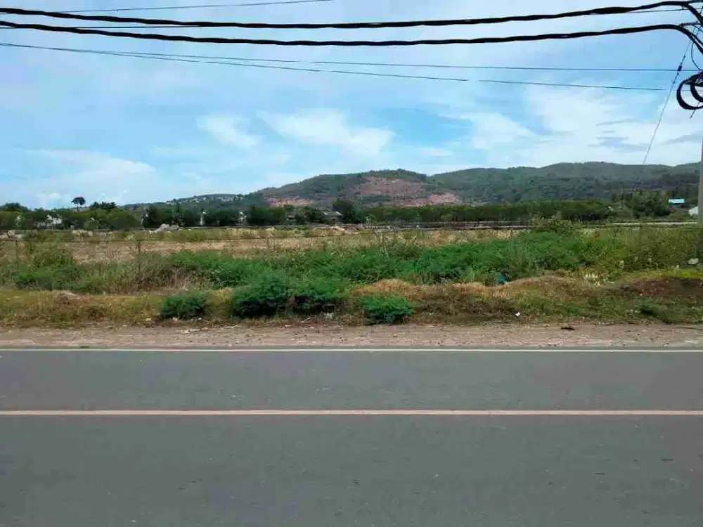 jual tanah 1000m