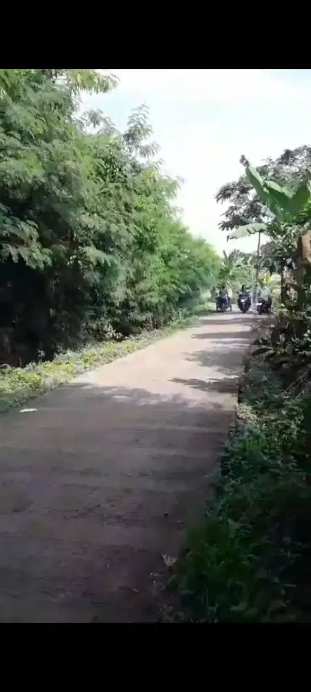 Dijual Tanah, harga Nego Bersertifikat  lokasi Gunung Sindur Bogor,