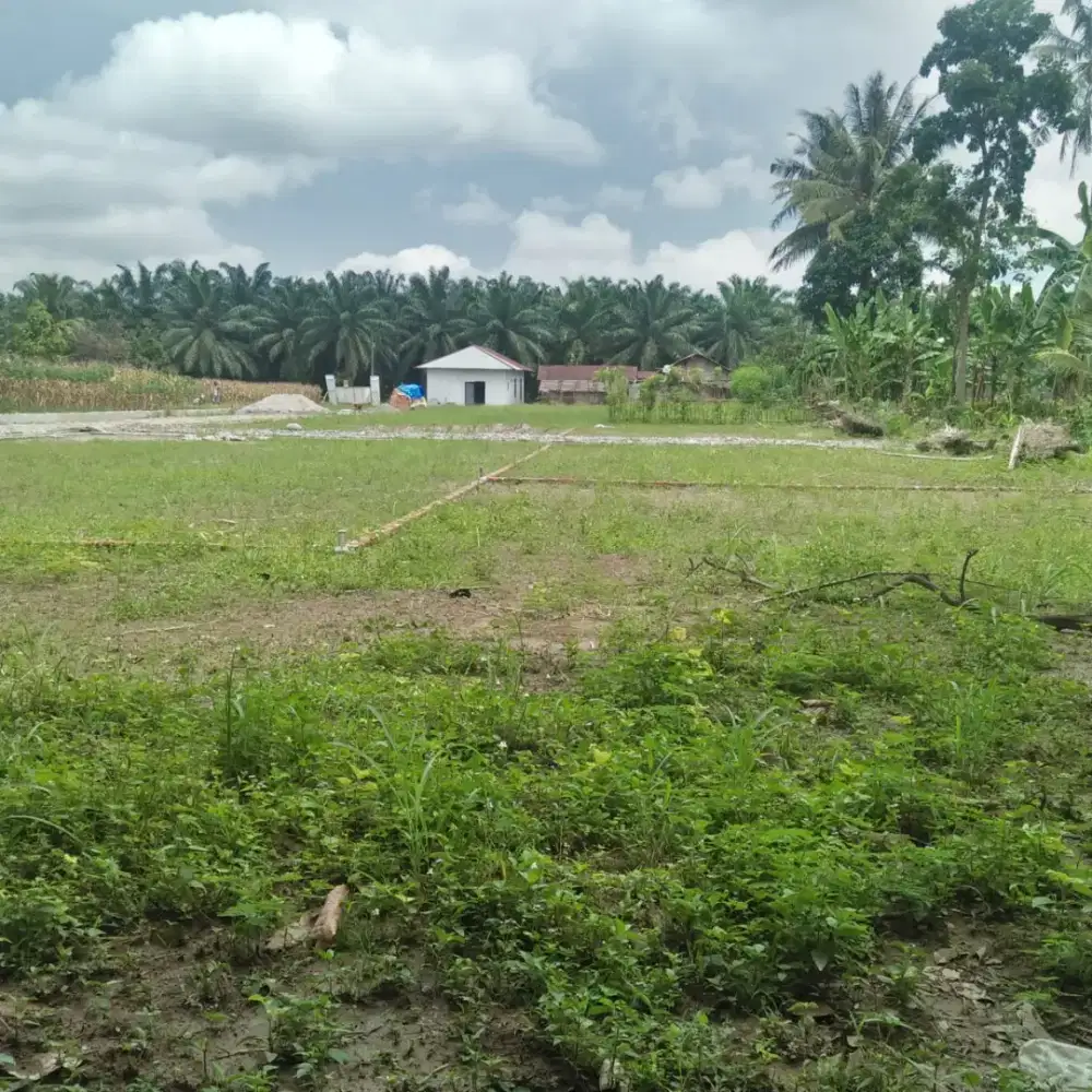 Tanah Darat Strategis Binjai lebar 9X23m Jl.Sawi Kota Binjai