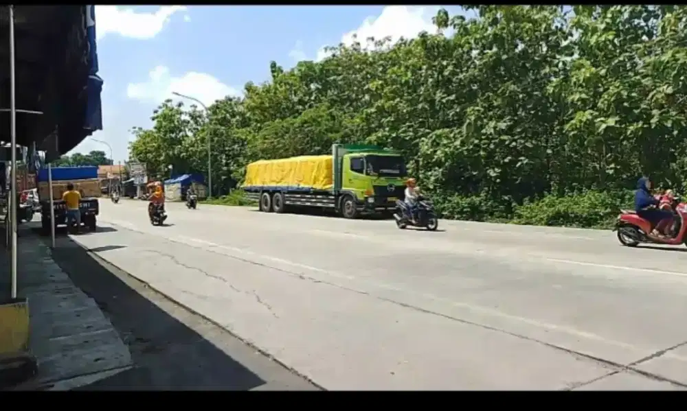 Tanah Solo Purwodadi di Sumberlawang