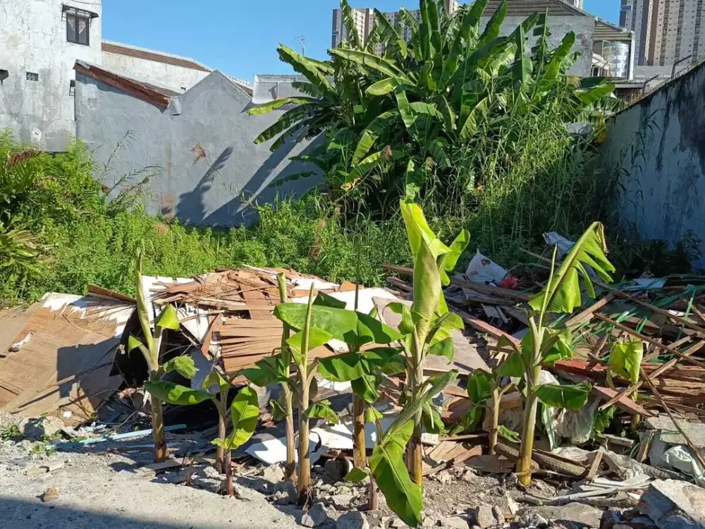 Tanah Karang Empat dekat Krampung, Kenjeran, Kedung Cowek (DVOGK)