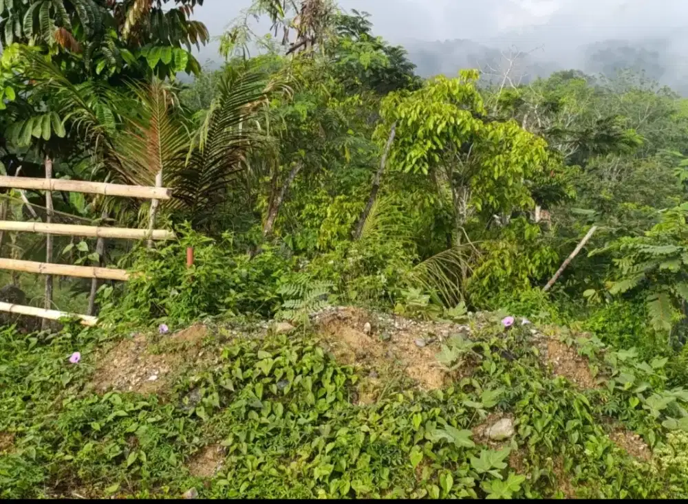 TANAH DIJUAL CEPAT
