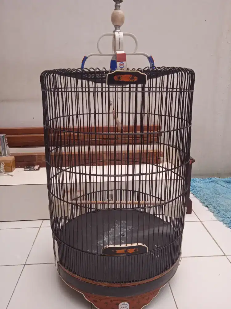 Kandang burung murai
