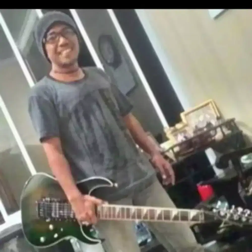 Les Private Guitar