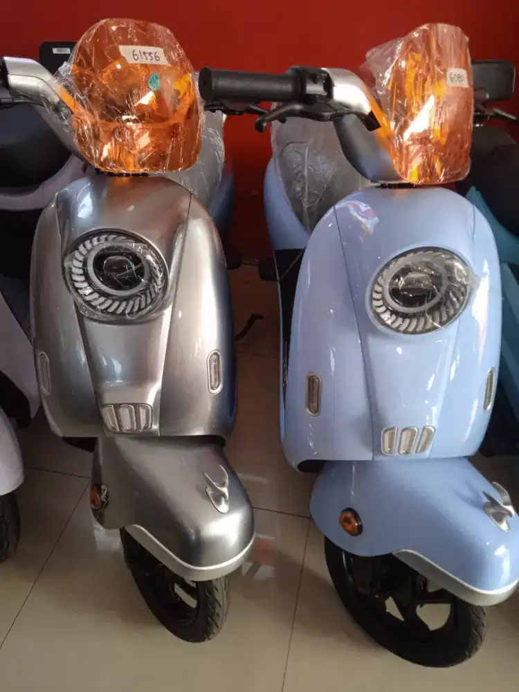 Sepeda Listrik U-winfly 2025 (T65L)
