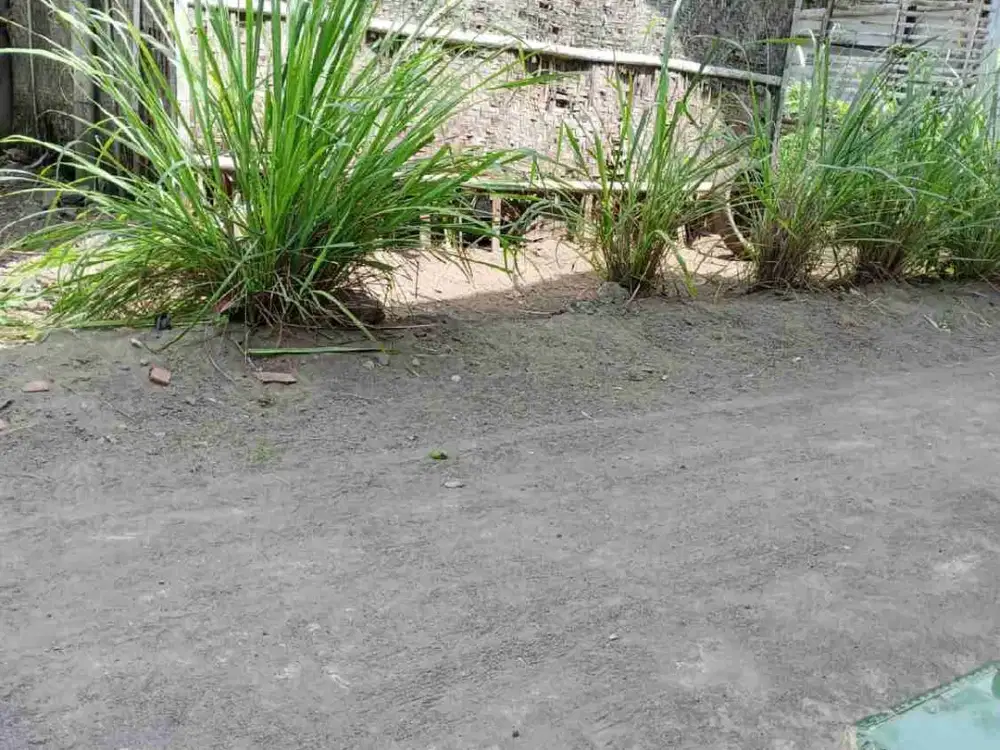 Jual Tanah di Tanjung Bangunharjo Sewon Bantul Yogyakarta