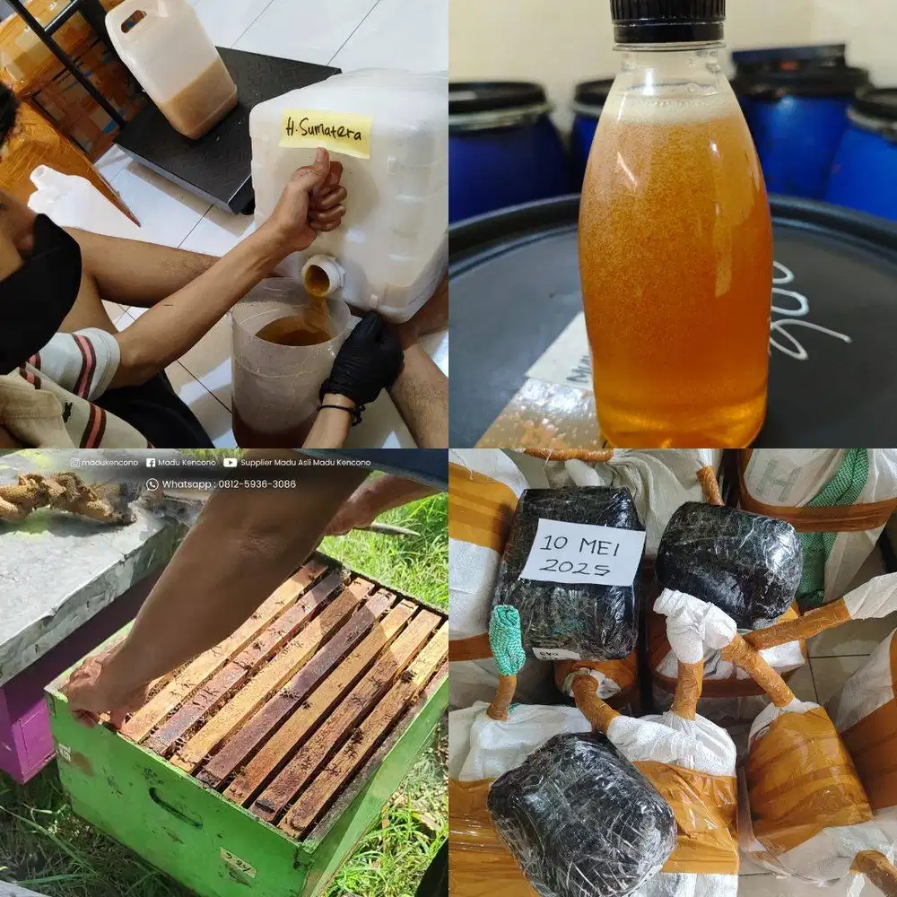 AGEN JUAL MADU SURABAYA ASLI MURNI, Grosir Murah