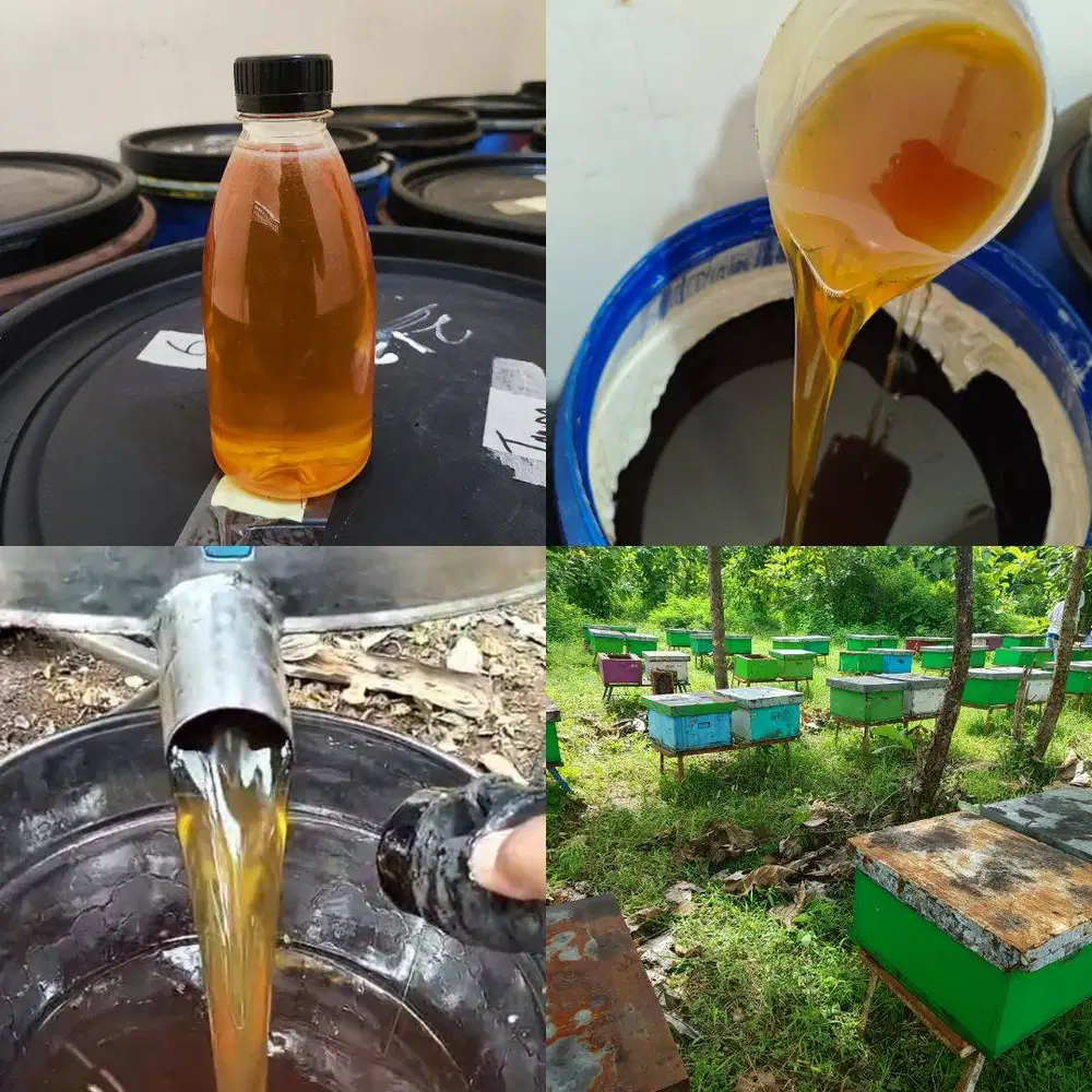 AGEN JUAL MADU BANYUWANGI ASLI MURNI, Grosir Murah