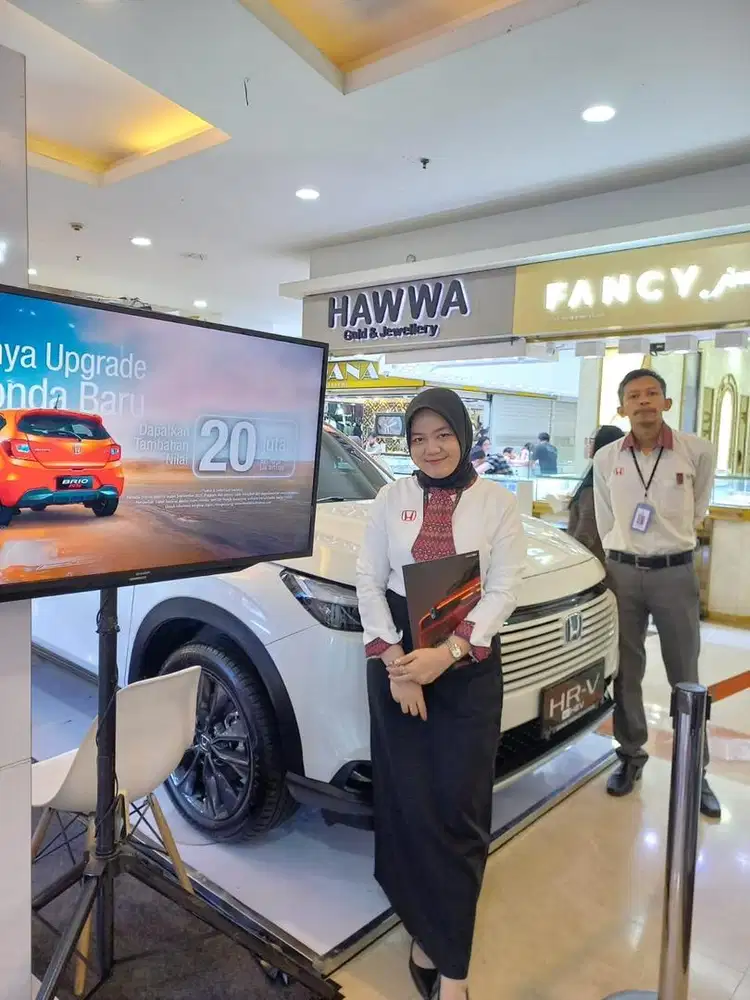 Sales Consultant