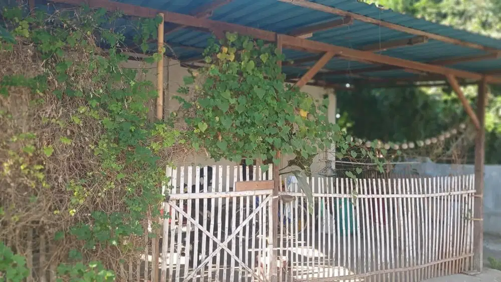 dijual cepat rumah dan tanah SHM sendiri