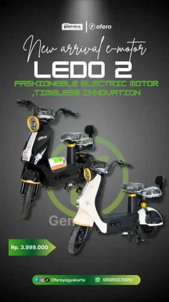 NEW OFERO LEDO 2