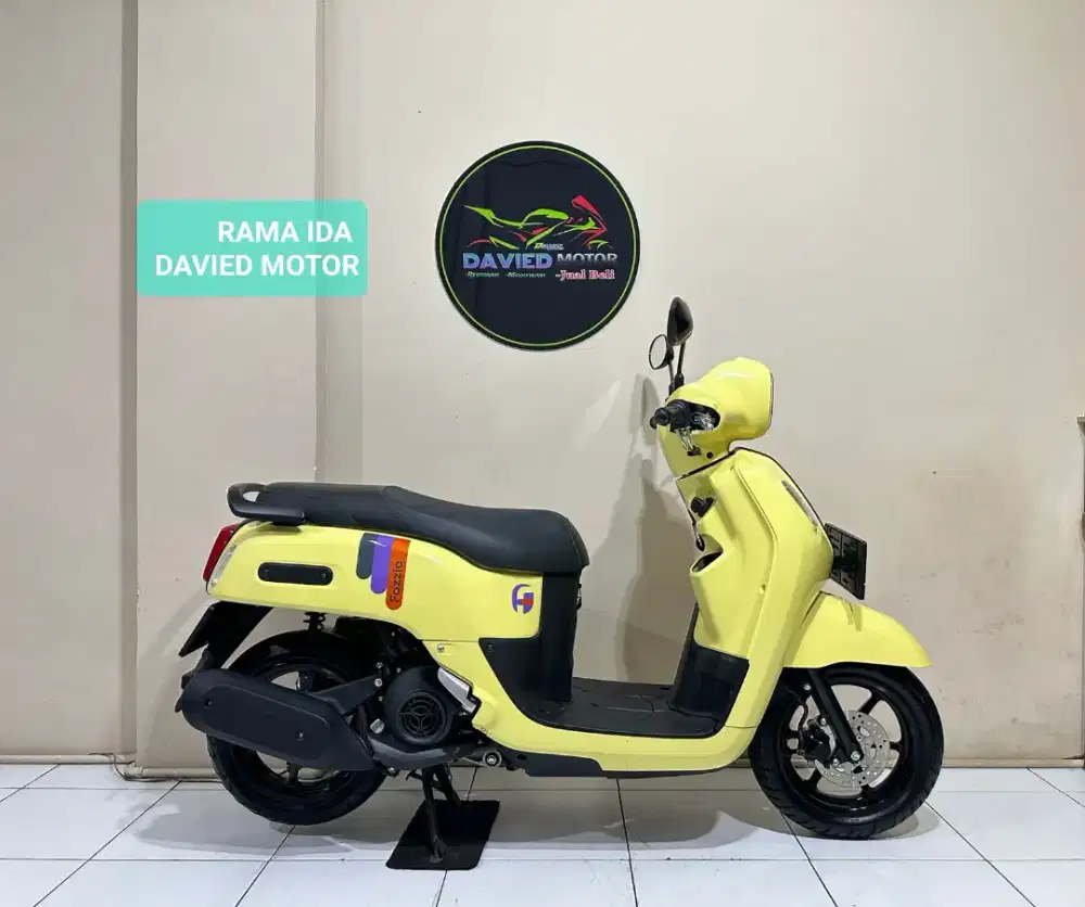 CASH CREDIT FAZZIO 2024 DP 800 RB