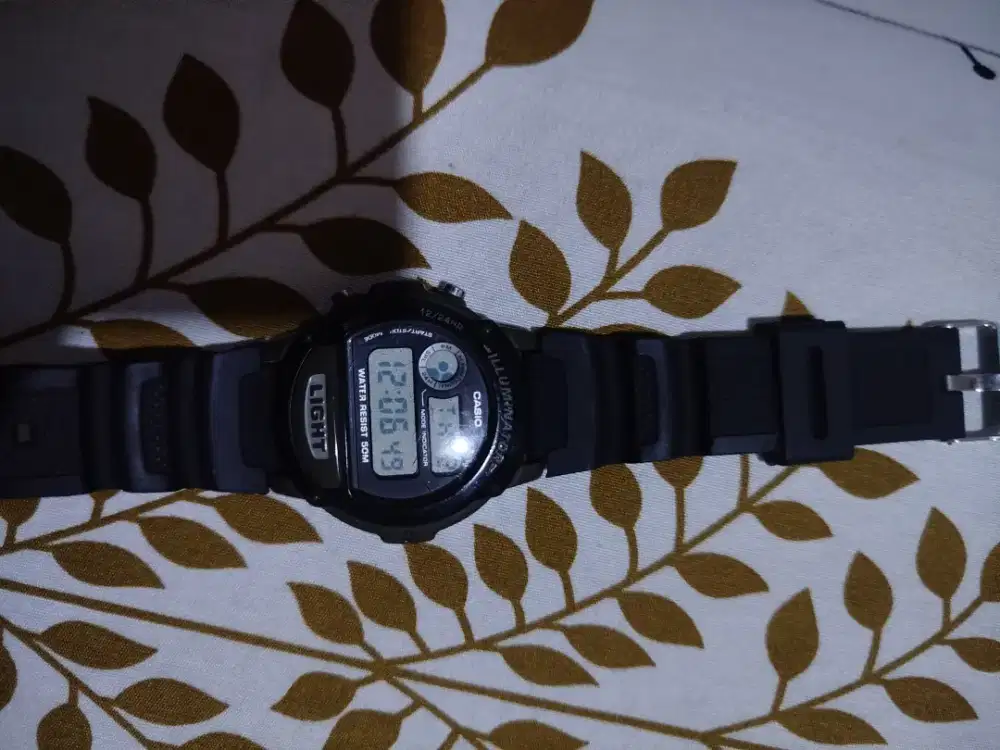 Casio seri W87H