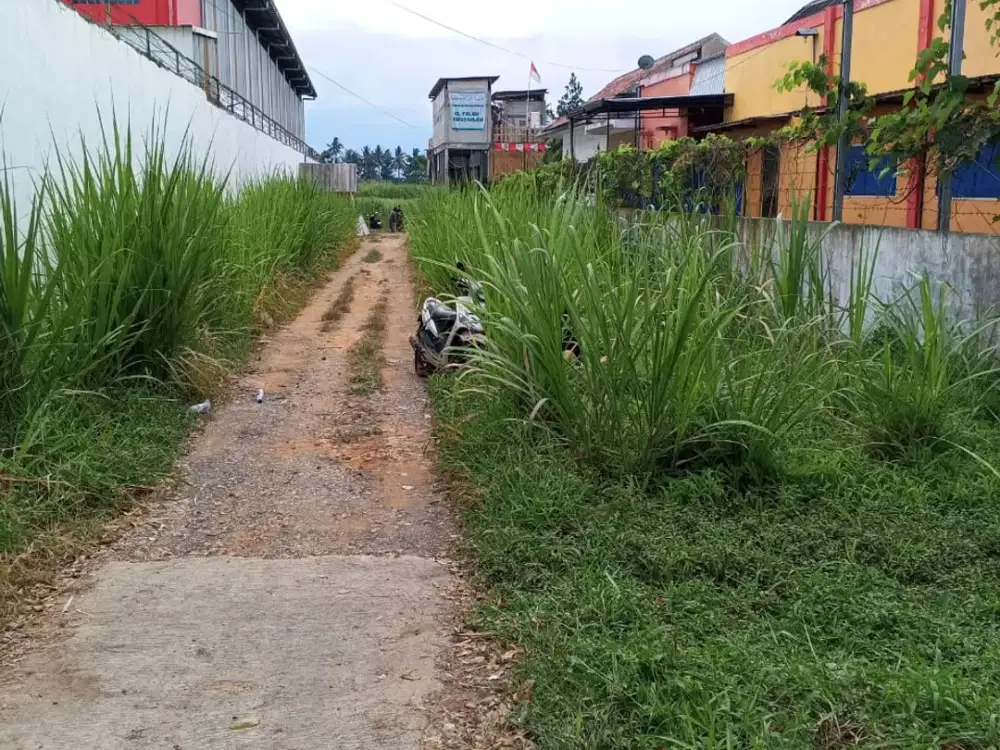 Tanah Termurah Poros Jalan Raya Daerah Sempalwadak