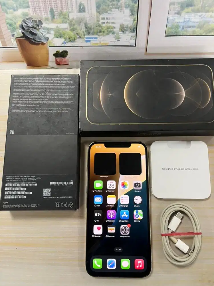 iPhone 12 Promax 256 Gold iBox Second