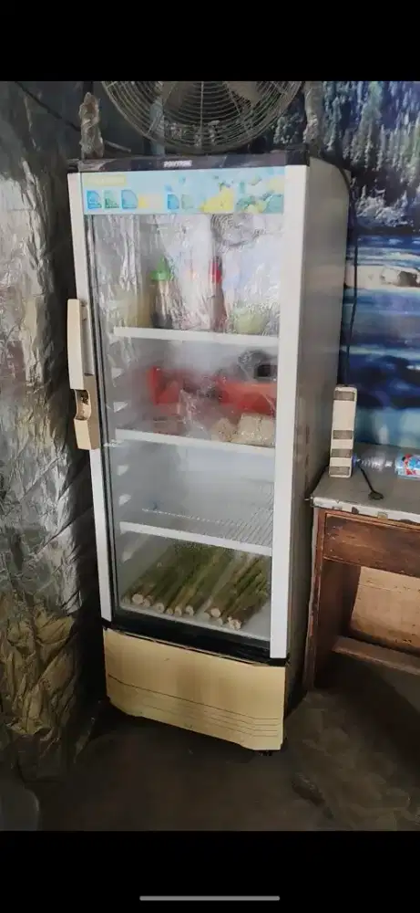 Showcase polytron