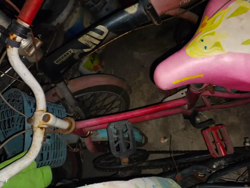 Sepeda anak bekas