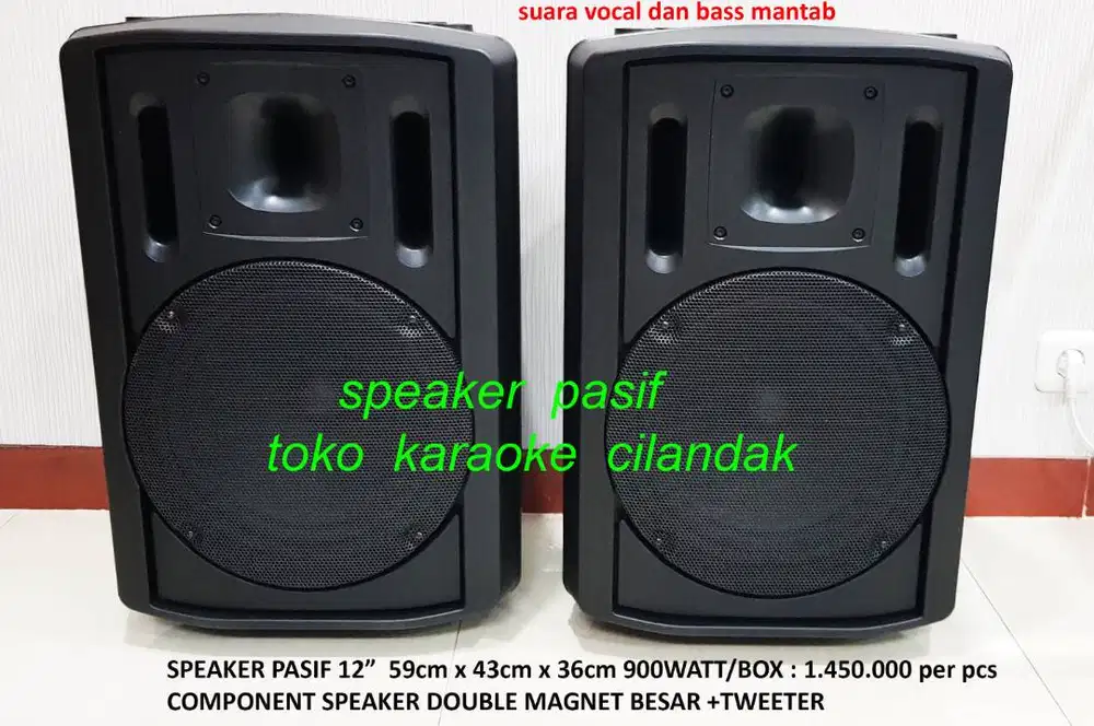 speaker pasif 12in sepasang