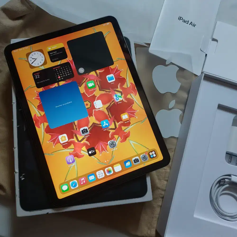 Ipad air 5 wifi 256gb