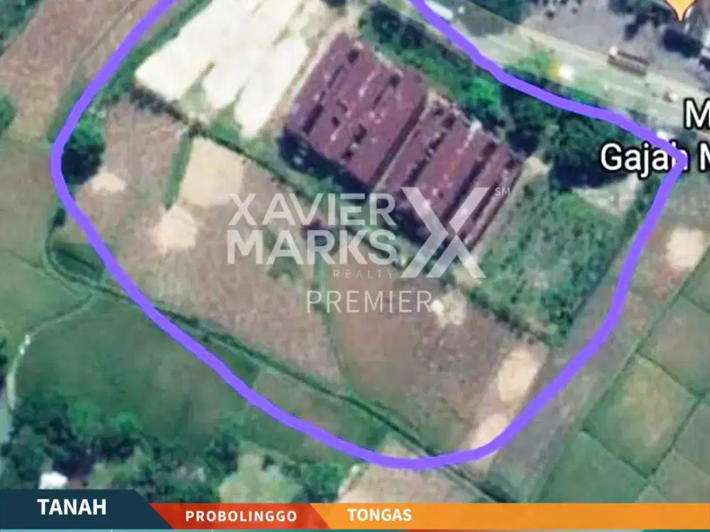 Dijual Tanah Super Luas Plus Ada 4 Gudang di Tongas Probolinggo