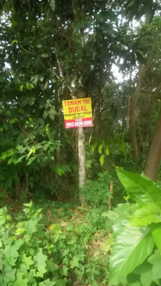JUAL TANAH SHM, Depan Masjid, Siap Bangun !
