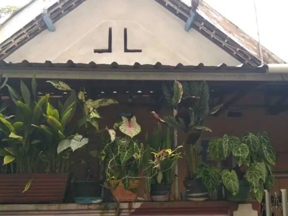 Rumah  kampung belakang RST Soepraon  daerah burung burung