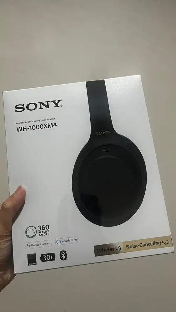 Headphone Sony Noise