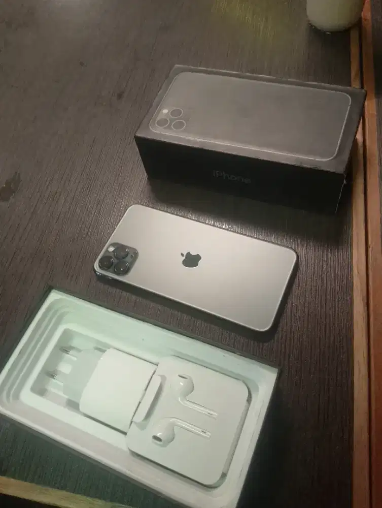 Iphone 11 pro max 256gb sepek harian