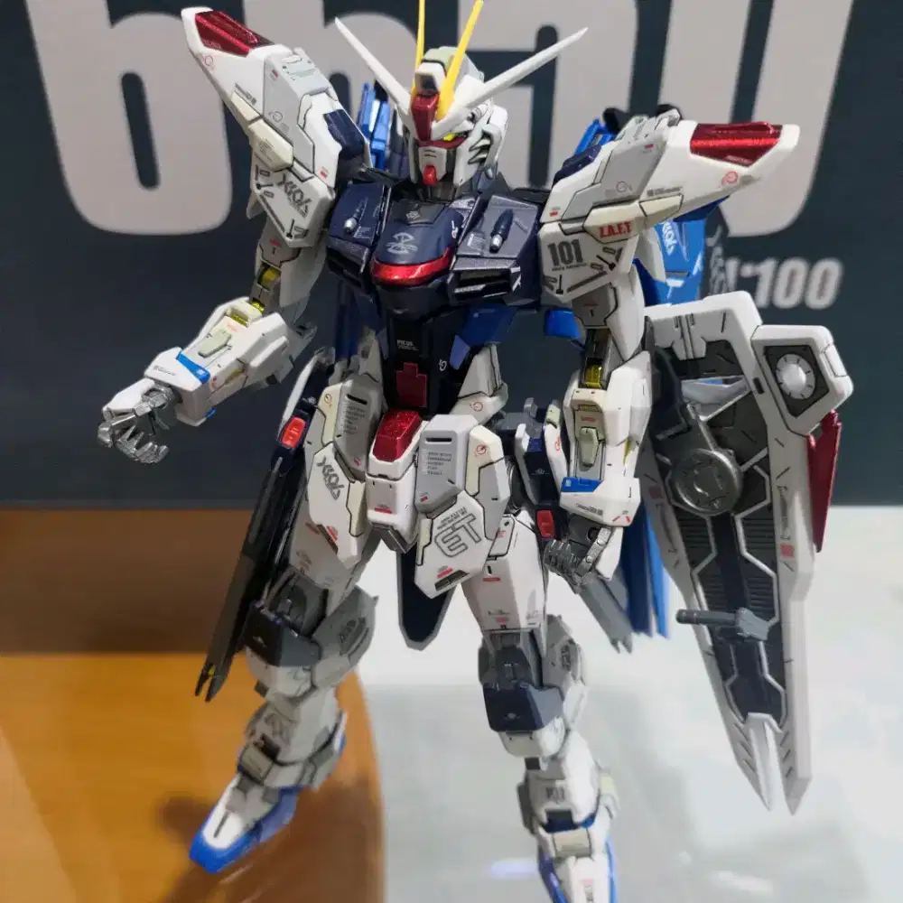 Daban Freedom Gundam Custom Build MG 1/100