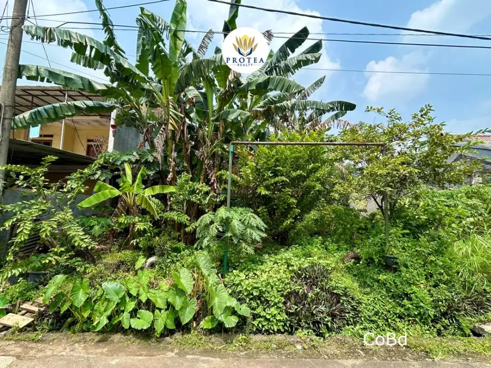 TANAH MURAH DI PAGEDANGAN