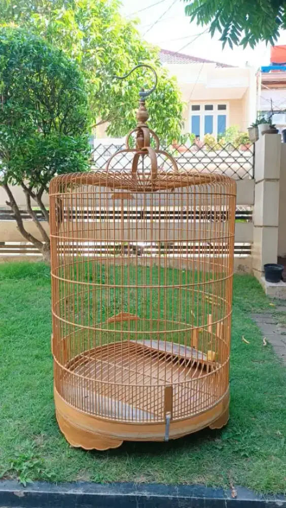 Kandang burung murai besar