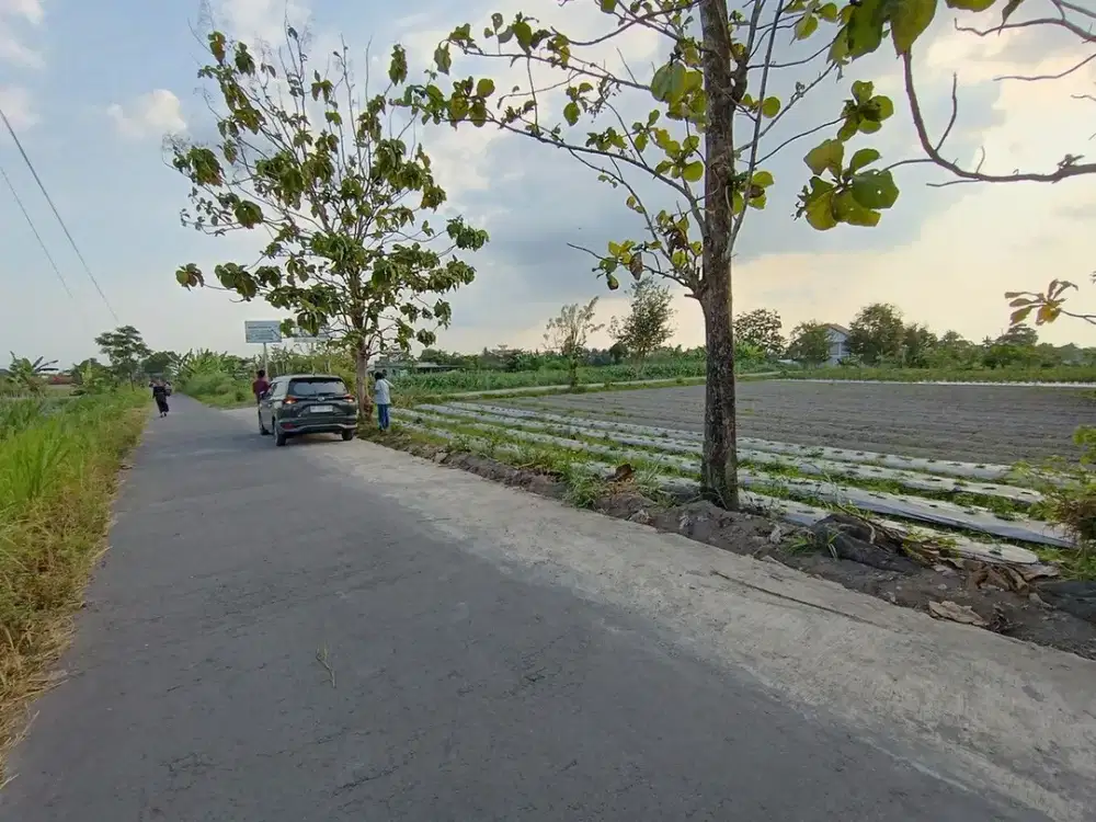 Tanah Murah Sleman, Pedak Jakal km 11 : Dekat Pawon Mbah Gito